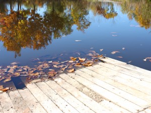 water with autumn leaves