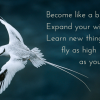 bird with message "become like a bird, spread your wings, learn new things and fly as high as you can"