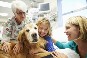 Young Girl Being Visited In Hospital By Therapy Dog