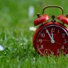 image of an alarm clock sitting on grass