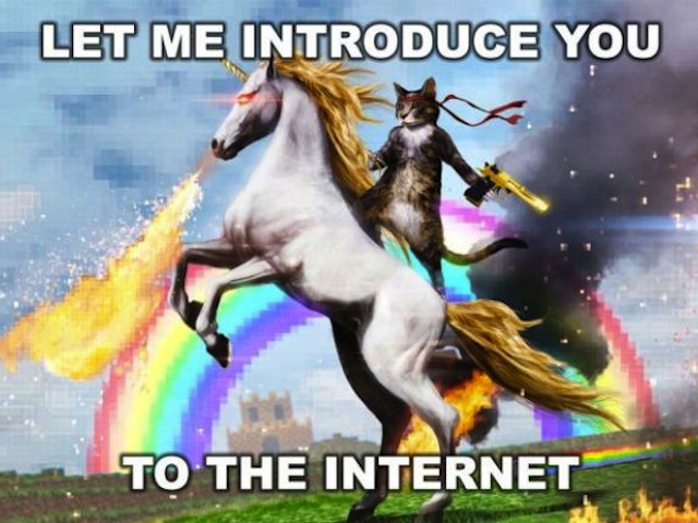 let-me-introduce-you-to-the-internet-meme